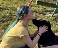 PRIČE IZ KOMŠILUKA: Glorija Popović, Apatinka koja brine o napuštenim životinjama u gradu