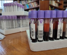 NOVA AKCIJA dobrovoljnog davanja krvi u Apatinu zakazana za 26. april