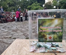 Apatinci prikupili gotovo 80.000 dinara za porodicu Gagović! Večeras još jedan humanitarni koncert
