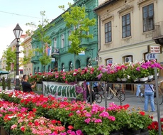 Sombor: Jesenji FESTIVAL CVEĆA od 13. do 15. oktobra