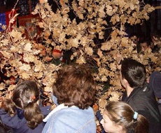 Danas se obeležava BADNJI DAN uz tradicionalno PALJENJE BADNJAKA